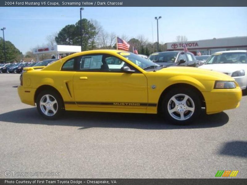Screaming Yellow / Dark Charcoal 2004 Ford Mustang V6 Coupe