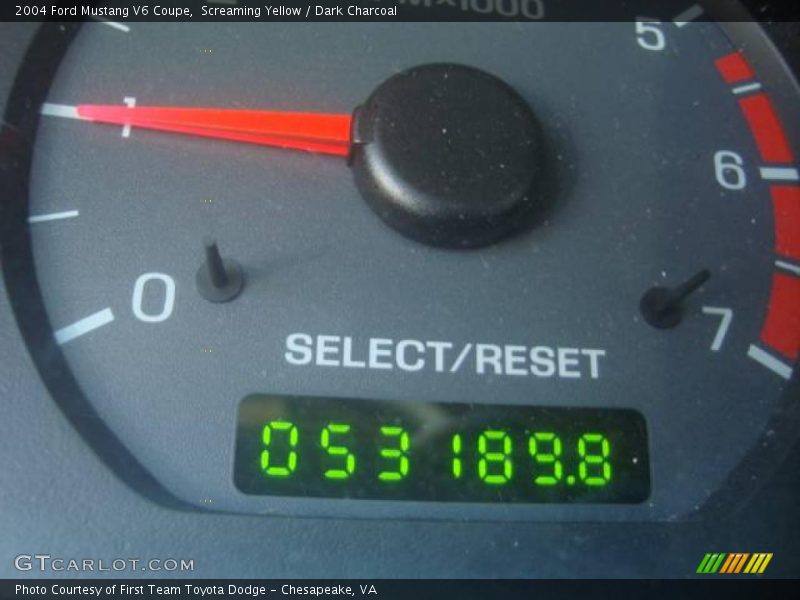 Screaming Yellow / Dark Charcoal 2004 Ford Mustang V6 Coupe