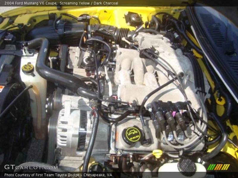 Screaming Yellow / Dark Charcoal 2004 Ford Mustang V6 Coupe