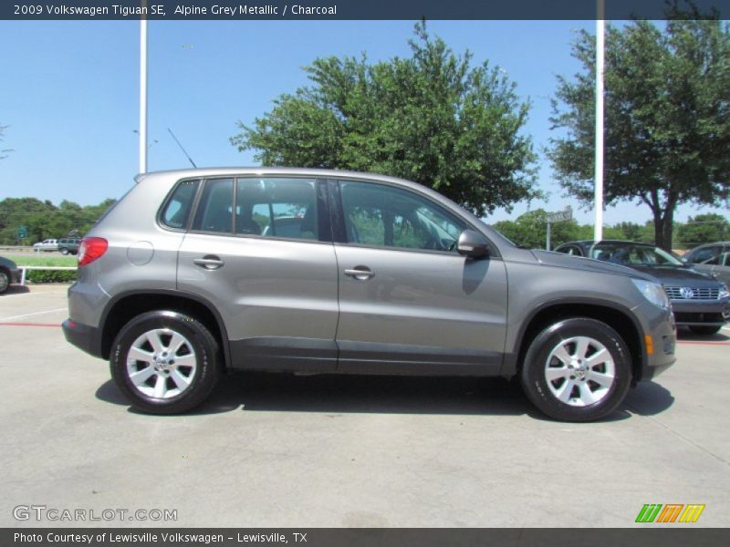 Alpine Grey Metallic / Charcoal 2009 Volkswagen Tiguan SE
