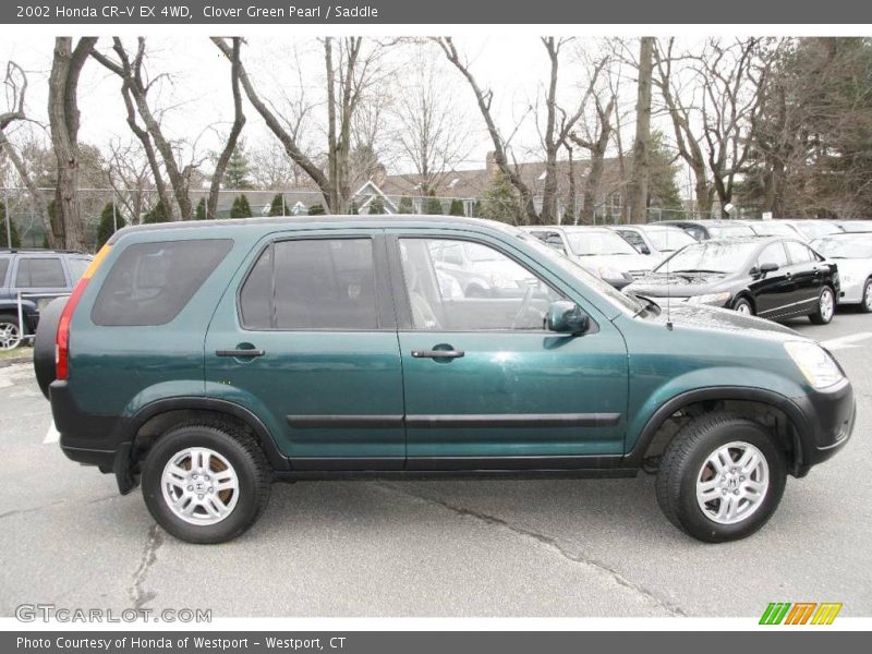 Clover Green Pearl / Saddle 2002 Honda CR-V EX 4WD