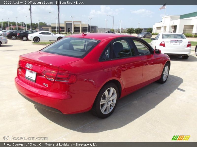 Brilliant Red / Black 2011 Audi A4 2.0T quattro Sedan