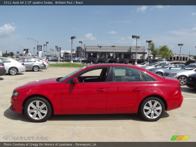 Brilliant Red / Black 2011 Audi A4 2.0T quattro Sedan