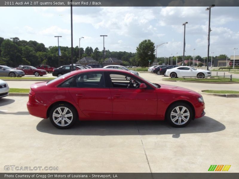 Brilliant Red / Black 2011 Audi A4 2.0T quattro Sedan