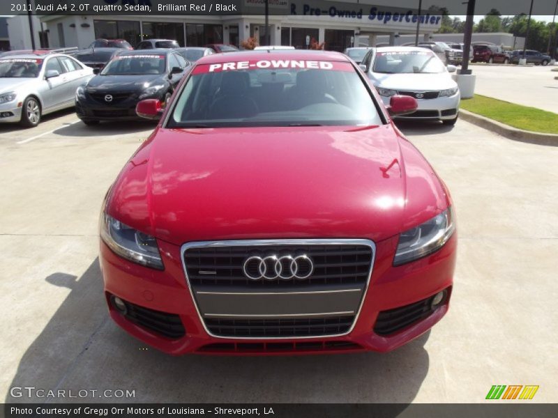 Brilliant Red / Black 2011 Audi A4 2.0T quattro Sedan