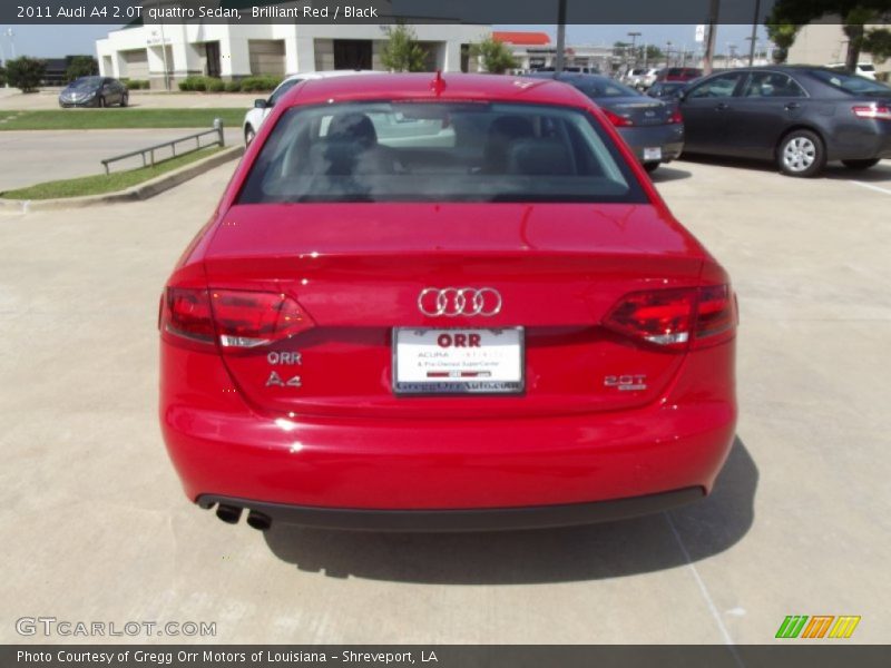 Brilliant Red / Black 2011 Audi A4 2.0T quattro Sedan