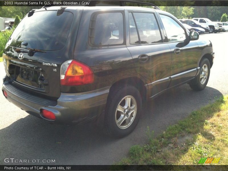 Black Obsidian / Gray 2003 Hyundai Santa Fe GLS