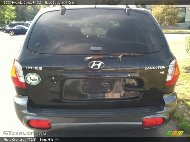 Black Obsidian / Gray 2003 Hyundai Santa Fe GLS