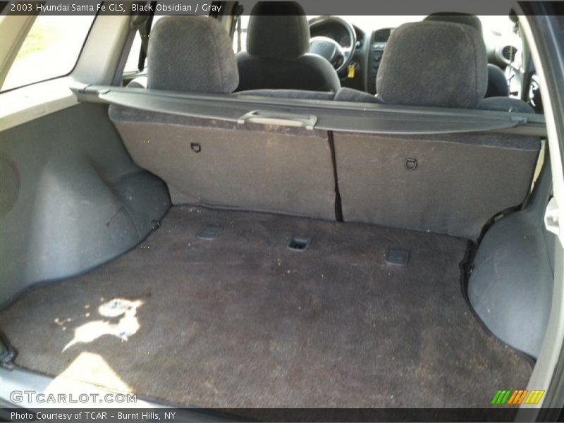 Black Obsidian / Gray 2003 Hyundai Santa Fe GLS