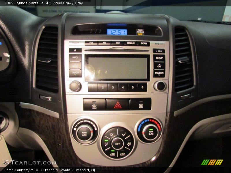 Steel Gray / Gray 2009 Hyundai Santa Fe GLS