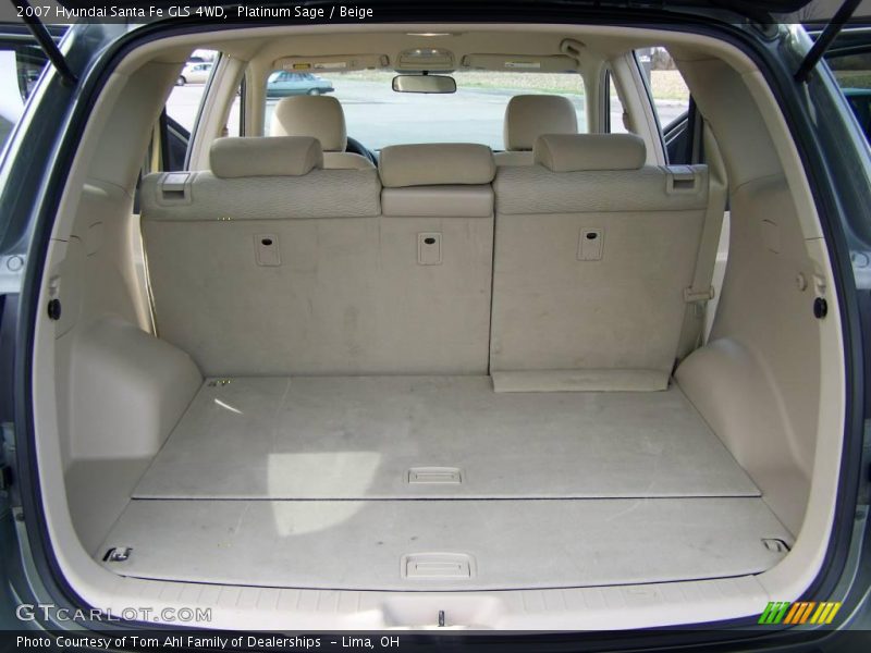 Platinum Sage / Beige 2007 Hyundai Santa Fe GLS 4WD