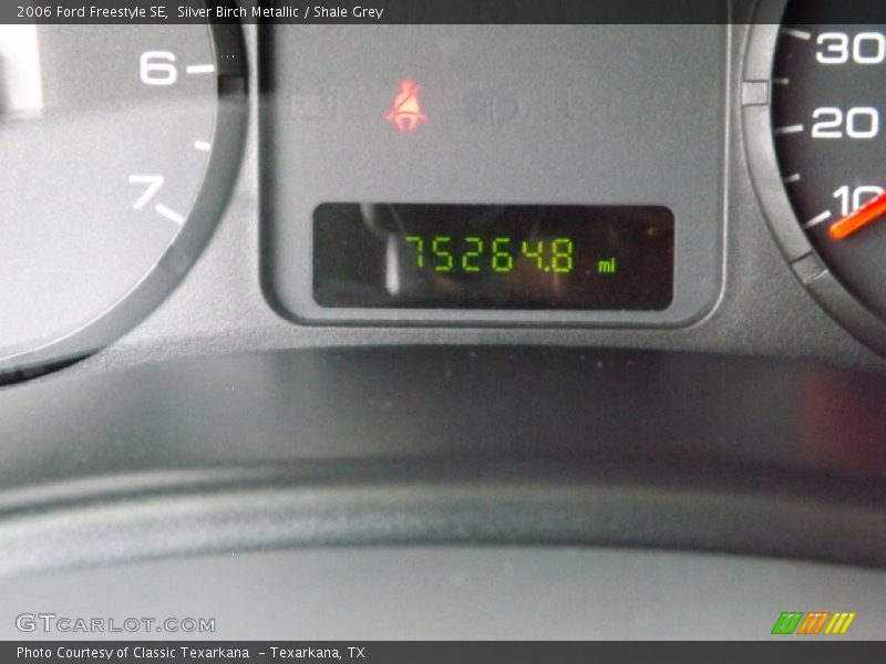 Silver Birch Metallic / Shale Grey 2006 Ford Freestyle SE