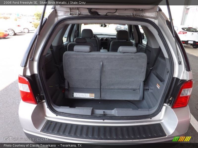 Silver Birch Metallic / Shale Grey 2006 Ford Freestyle SE