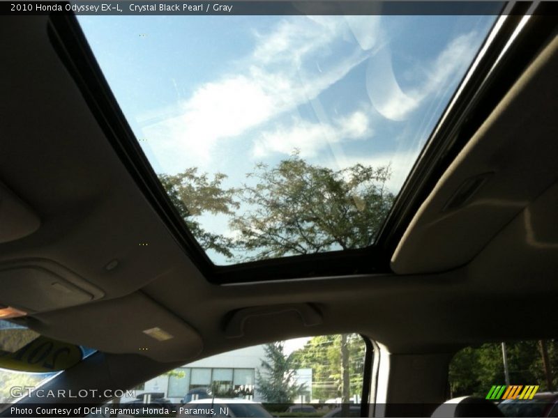 Crystal Black Pearl / Gray 2010 Honda Odyssey EX-L