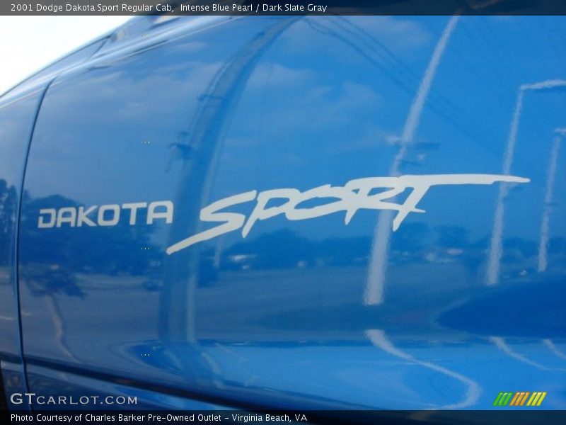 Dakota Sport - 2001 Dodge Dakota Sport Regular Cab