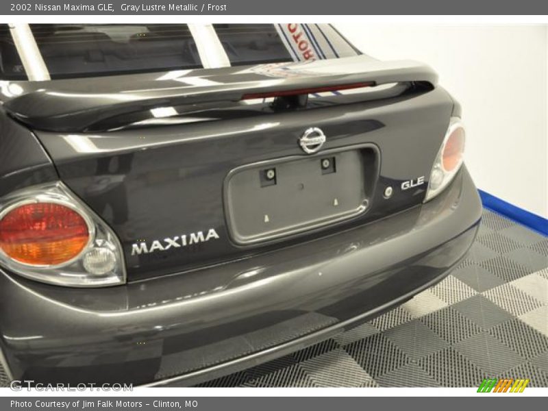 Gray Lustre Metallic / Frost 2002 Nissan Maxima GLE