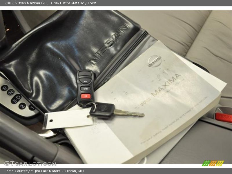 Gray Lustre Metallic / Frost 2002 Nissan Maxima GLE