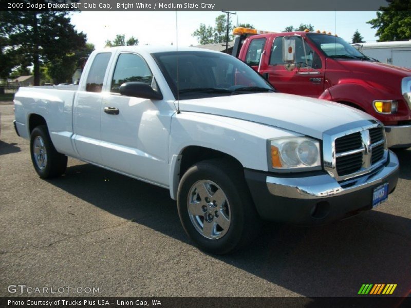 Bright White / Medium Slate Gray 2005 Dodge Dakota SLT Club Cab