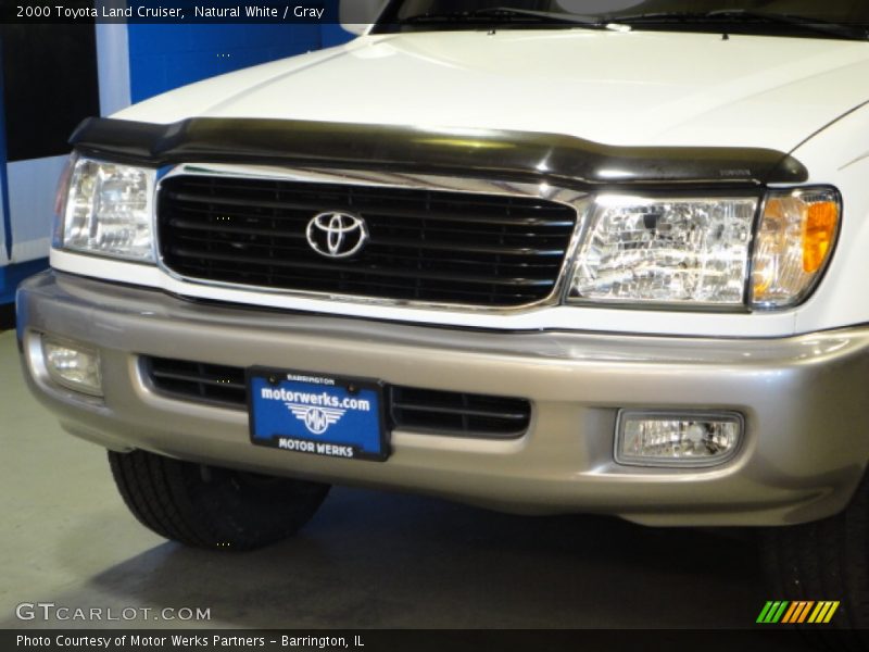 Natural White / Gray 2000 Toyota Land Cruiser