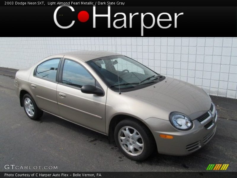 Light Almond Pearl Metallic / Dark Slate Gray 2003 Dodge Neon SXT