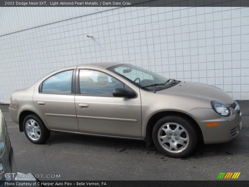 Light Almond Pearl Metallic / Dark Slate Gray 2003 Dodge Neon SXT