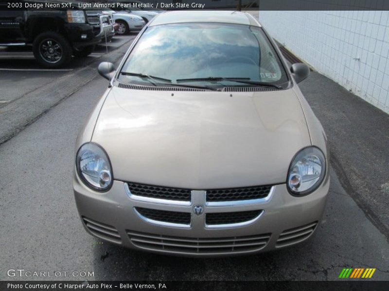 Light Almond Pearl Metallic / Dark Slate Gray 2003 Dodge Neon SXT