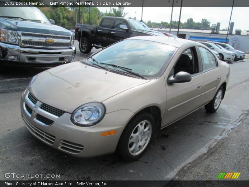 Light Almond Pearl Metallic / Dark Slate Gray 2003 Dodge Neon SXT