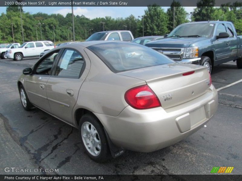 Light Almond Pearl Metallic / Dark Slate Gray 2003 Dodge Neon SXT