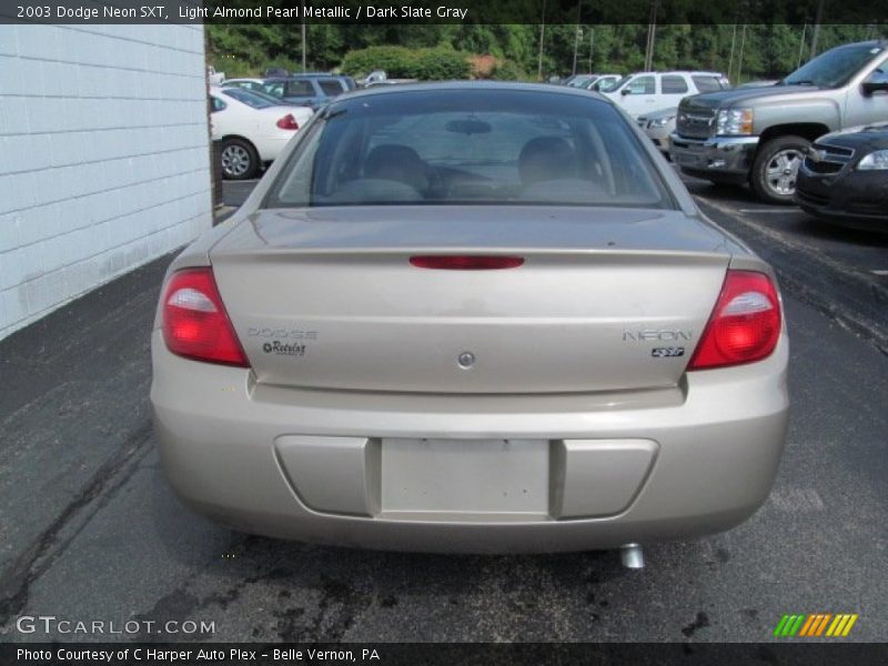 Light Almond Pearl Metallic / Dark Slate Gray 2003 Dodge Neon SXT