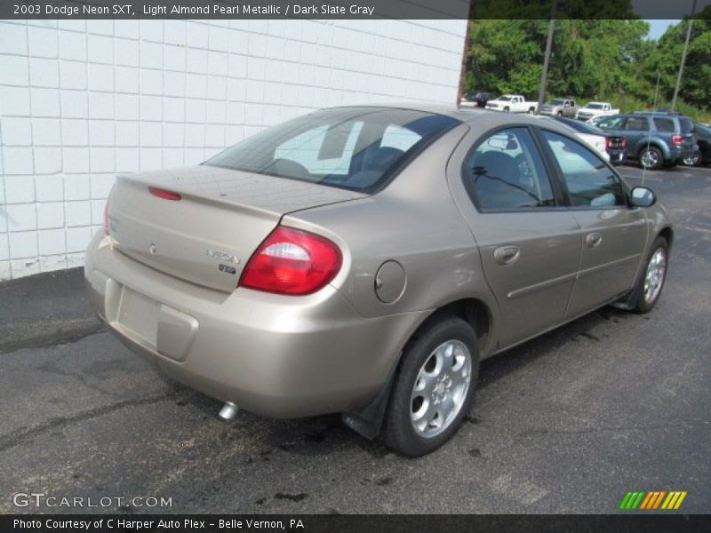 Light Almond Pearl Metallic / Dark Slate Gray 2003 Dodge Neon SXT