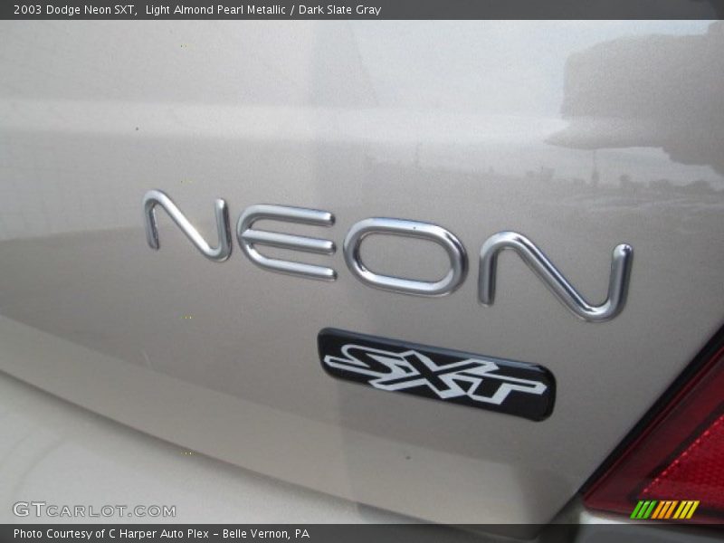 Light Almond Pearl Metallic / Dark Slate Gray 2003 Dodge Neon SXT