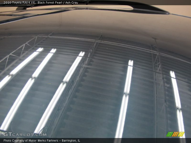 Black Forest Pearl / Ash Gray 2010 Toyota RAV4 V6