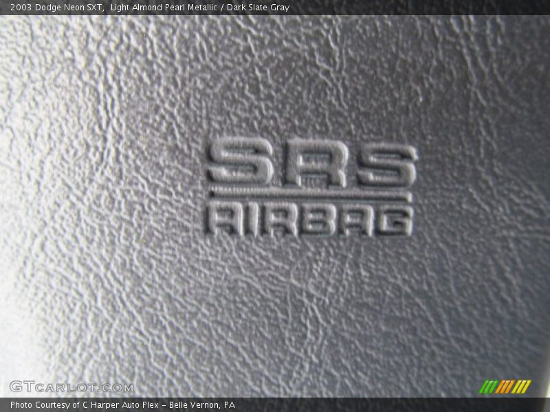 Light Almond Pearl Metallic / Dark Slate Gray 2003 Dodge Neon SXT