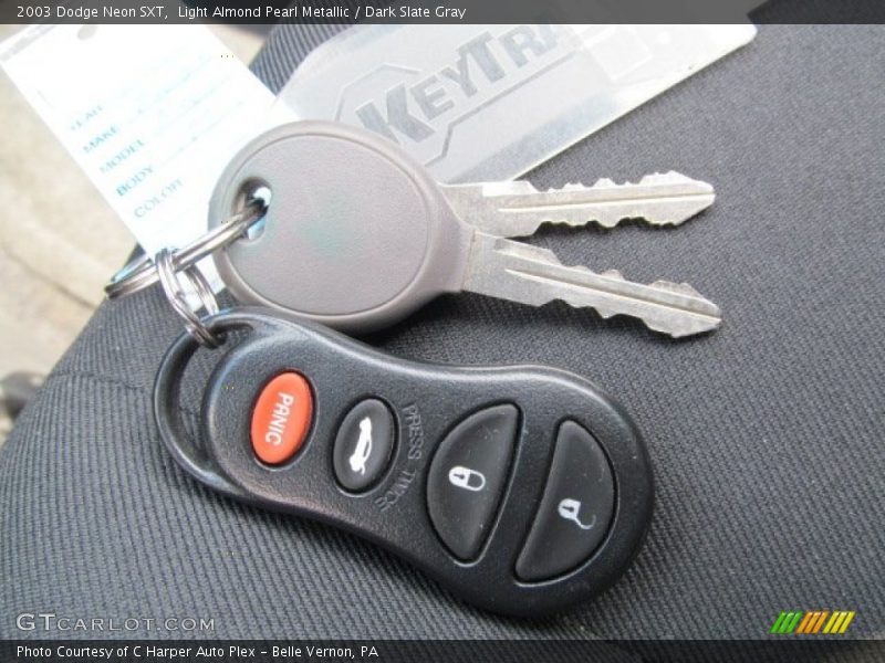 Light Almond Pearl Metallic / Dark Slate Gray 2003 Dodge Neon SXT