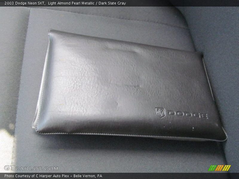 Light Almond Pearl Metallic / Dark Slate Gray 2003 Dodge Neon SXT