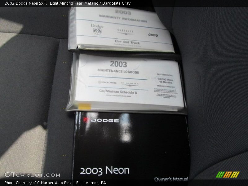 Light Almond Pearl Metallic / Dark Slate Gray 2003 Dodge Neon SXT