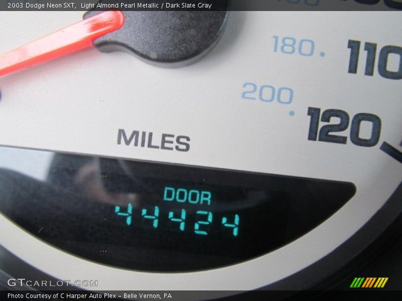 Light Almond Pearl Metallic / Dark Slate Gray 2003 Dodge Neon SXT