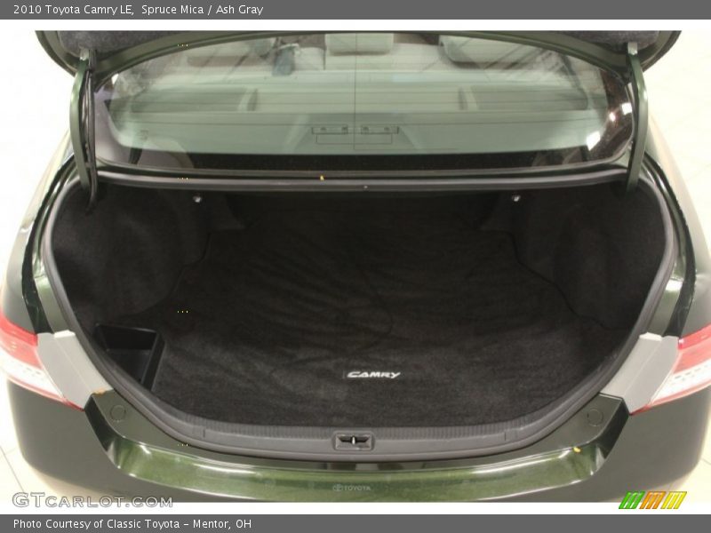 Spruce Mica / Ash Gray 2010 Toyota Camry LE