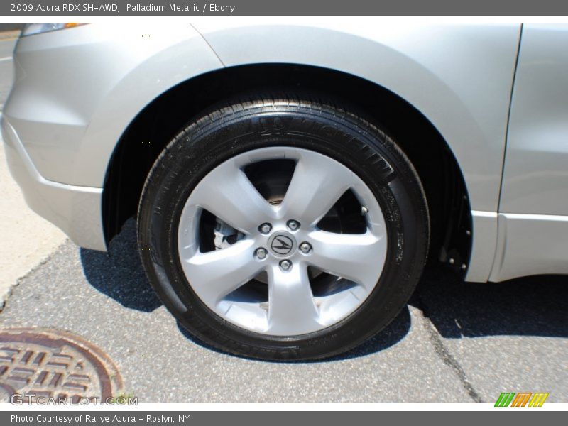 Palladium Metallic / Ebony 2009 Acura RDX SH-AWD