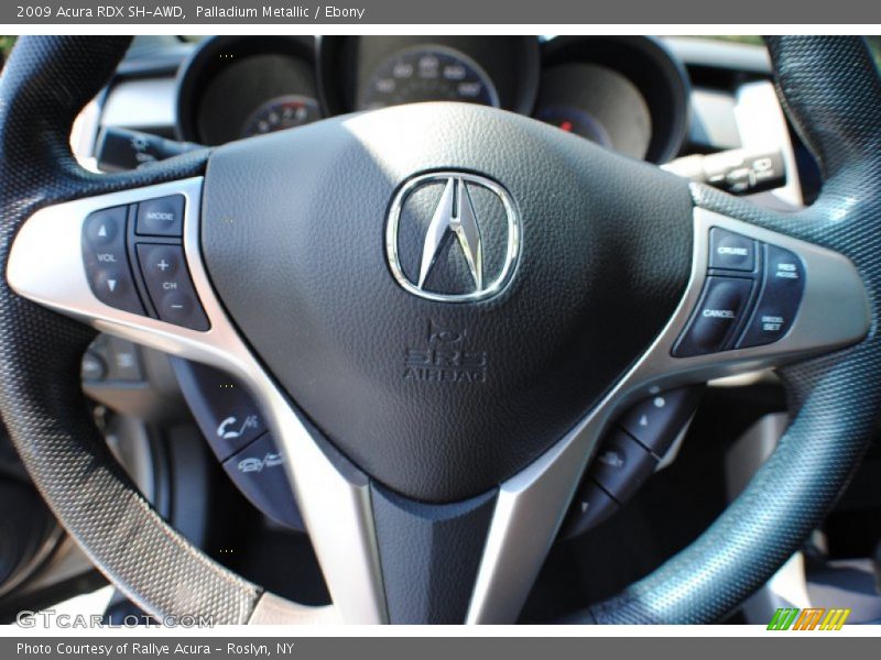 Palladium Metallic / Ebony 2009 Acura RDX SH-AWD
