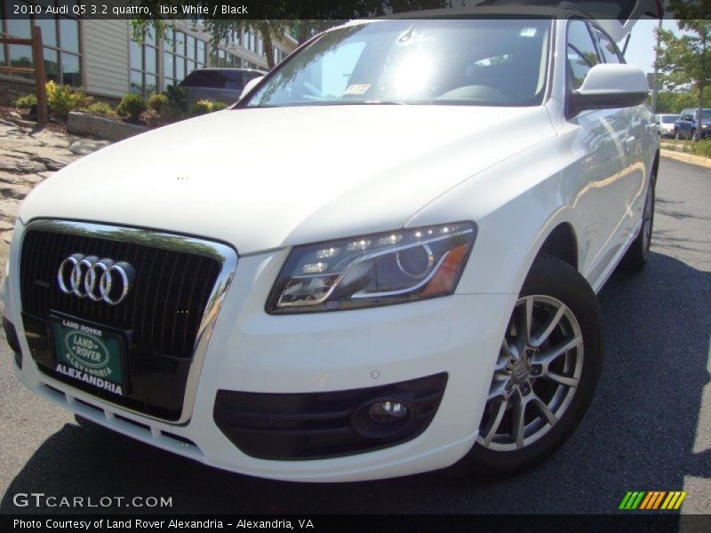 Ibis White / Black 2010 Audi Q5 3.2 quattro