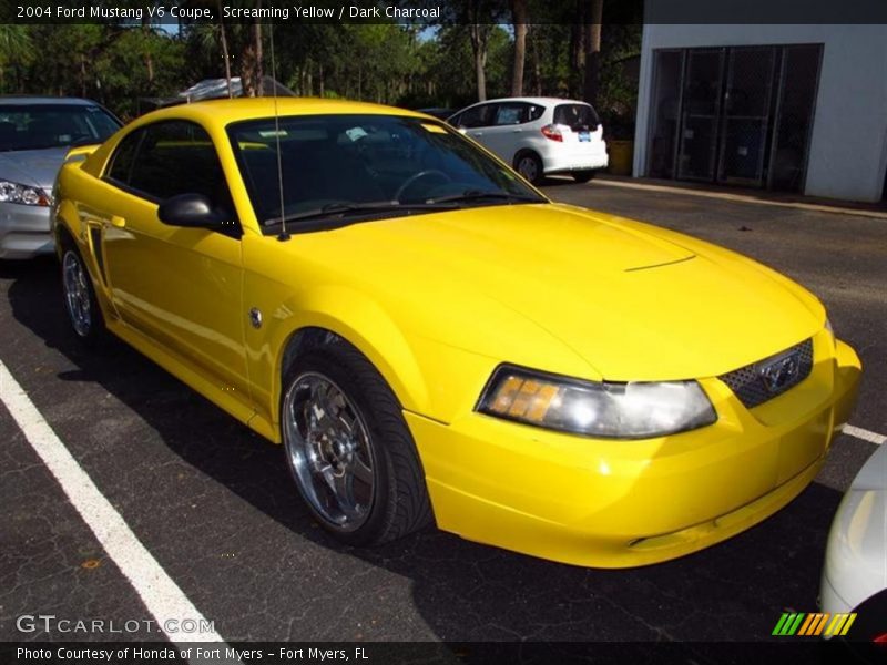 Screaming Yellow / Dark Charcoal 2004 Ford Mustang V6 Coupe