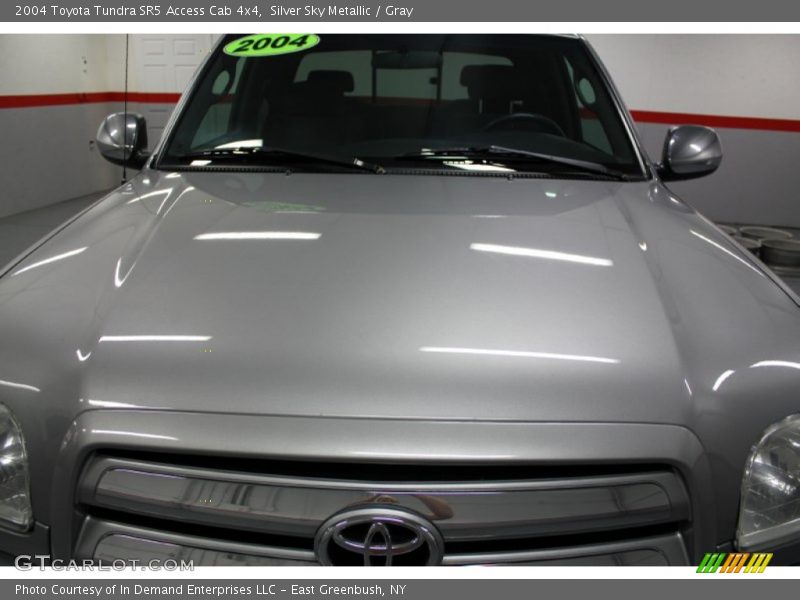 Silver Sky Metallic / Gray 2004 Toyota Tundra SR5 Access Cab 4x4