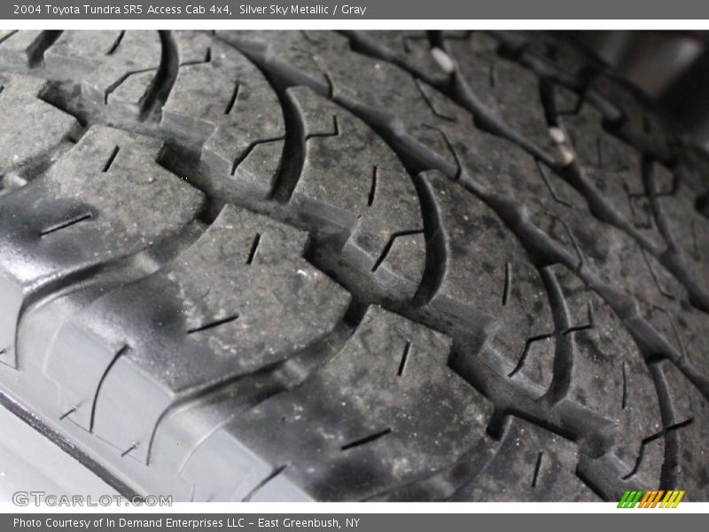 Silver Sky Metallic / Gray 2004 Toyota Tundra SR5 Access Cab 4x4