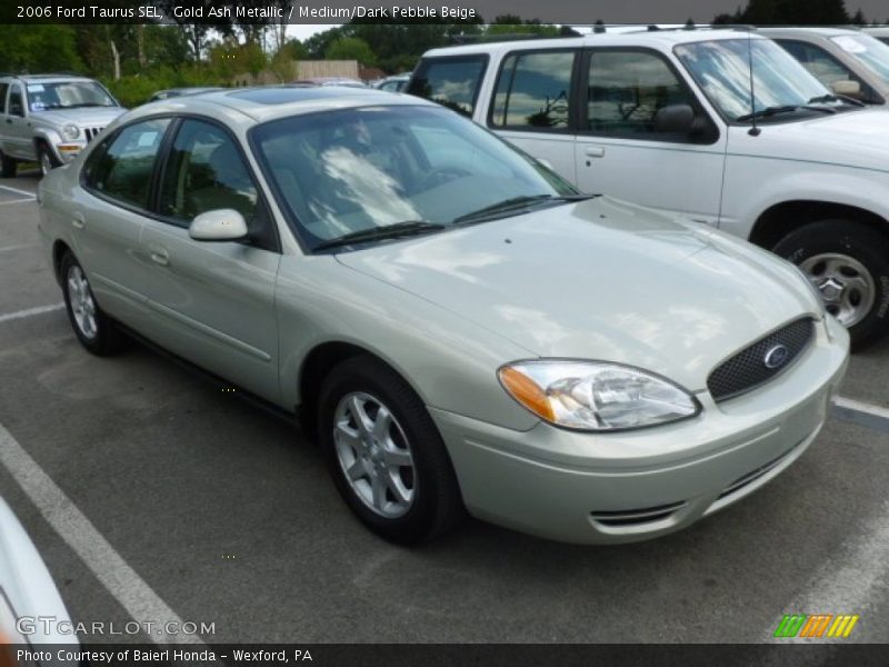 Gold Ash Metallic / Medium/Dark Pebble Beige 2006 Ford Taurus SEL