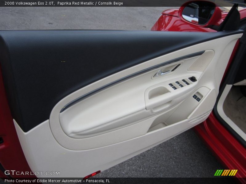 Door Panel of 2008 Eos 2.0T