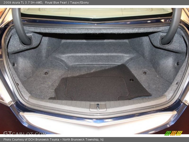 Royal Blue Pearl / Taupe/Ebony 2009 Acura TL 3.7 SH-AWD
