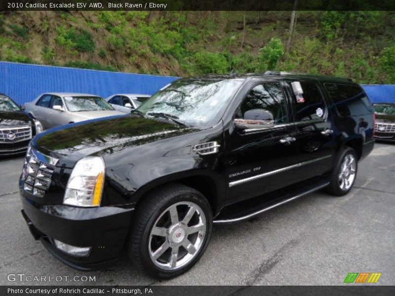Black Raven / Ebony 2010 Cadillac Escalade ESV AWD