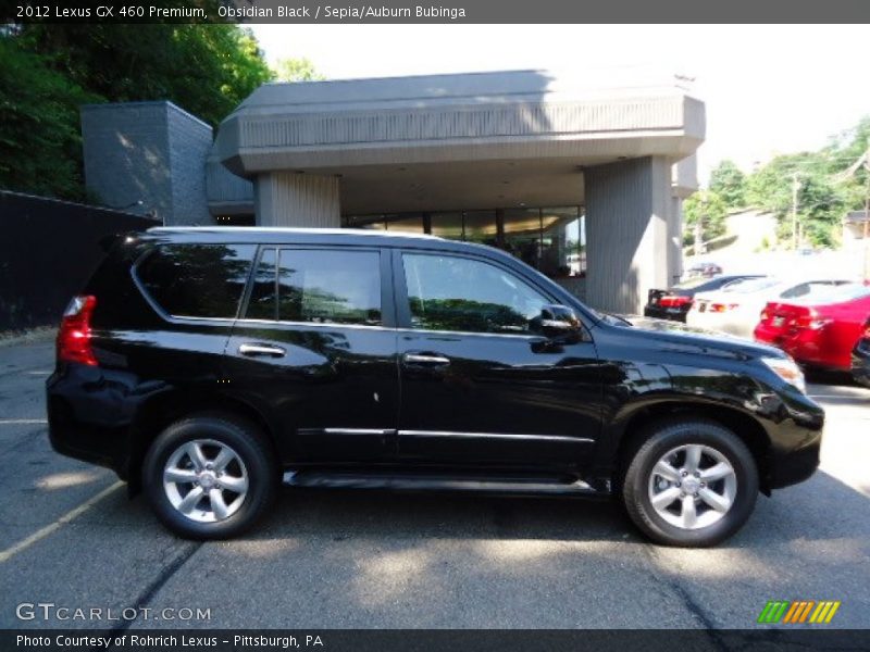 Obsidian Black / Sepia/Auburn Bubinga 2012 Lexus GX 460 Premium