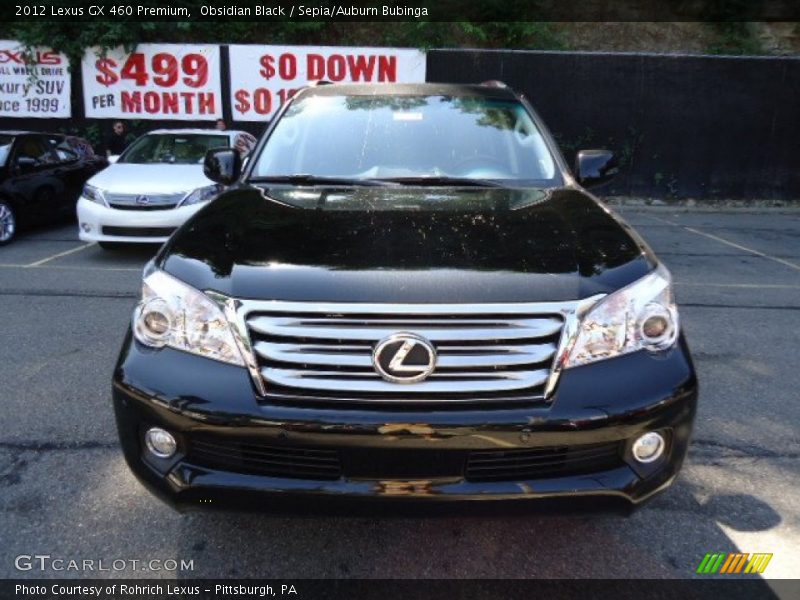 Obsidian Black / Sepia/Auburn Bubinga 2012 Lexus GX 460 Premium